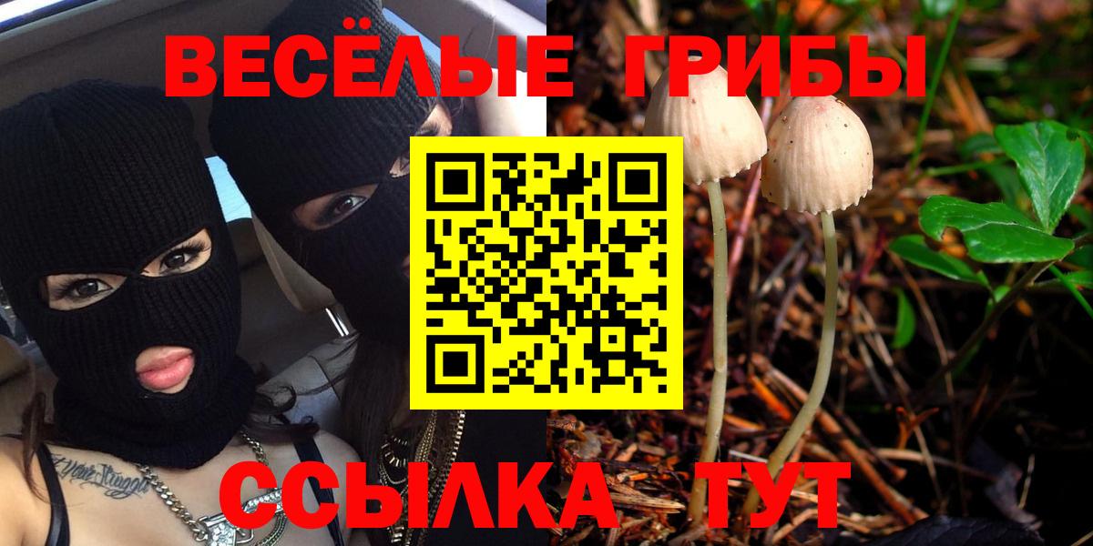 Псилоцибиновые грибы мухоморы  как найти   Галлюциногенные грибы Magic Shrooms  Сочи  Вход с VPN 